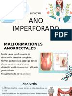 Ano Inperforado