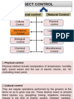 Presentation 1B