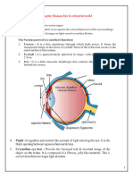 Human Eye