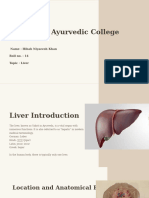 Liver