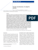 Molecular Ecology - 2011 - BELDADE - Evolution and Molecular Mechanisms of Adaptive Developmental Plasticity