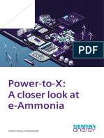 06 Whitepaper Eammonia