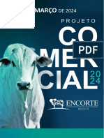 Plano Comercial Encorte 2024