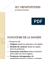 Sangre Y Hematopoyesis: Dra. Alejandra Sánchez Andrade