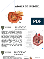 3 ABDOMEN Duodeno Pancreas Bazo