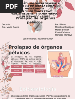 Prolapso de Organos Pelvicos Final