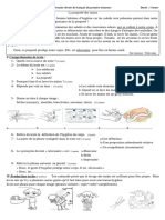 1am, Devoir Inédit