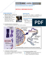 Genética Mendeliana para Cuarto Grado de Secundaria