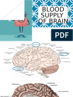 Blood Supply of Brain