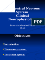 NERVE Physiology Essential