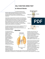 Adrenal Function Urine Test