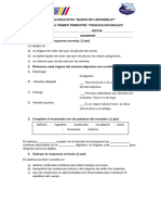 Exámen de Ciencias Naturales - 6 To Egb