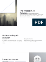 The Impact of Air Pollution