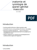 Anatomie Et Physiologie de L'appareil Génital Masculin