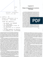 Origen y Formación de La Conciencia. Psicología