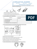 JHS 3 Mock Career Questions 2024 Term 1