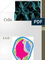 Cells