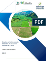 Plan Estratégico Distrito de Innovación Del Valle Del Cauca V13