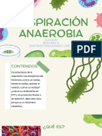 Presentación Diapositivas Respiración Anaerobia