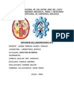 Informe de Laboratorio N°5