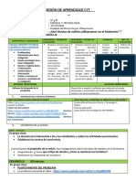 Tenicas para El Cultivo en Biohuerto 2024