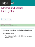 13 MEIOSIS PPT