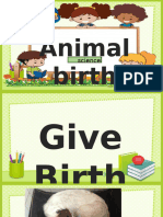 Animals (Give Birth-Laying Eggs)