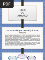 Juicio de Amparo Diapositivas