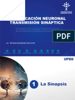 Tema 3 Comunicación Neuronal - Psicobiología