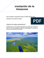 Deforestación de La Amazonía