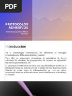 Protocolos Adhesivos