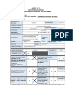 Anexos Bases CPM 002-2024-Sunafil