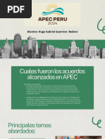 Opinion APEC PERU 2024