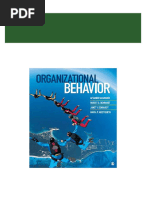 (Ebook PDF) Organizational Behavior 1 Editionby Afsaneh Nahavandi Download PDF