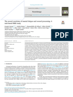 The Neural Correlates of Mental Fatigue and Reward Processing - A Task-Based fMRI Study