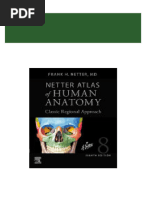 Netter Atlas of Human Anatomy-Classic Regional Approach, 8E (Mar 29, 2022) - (0323793738) - (Elsevier) Not True PDF 8Th Edition - Ebook PDF