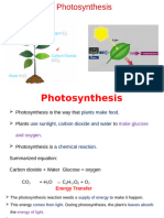 1.1 Photosynthesis