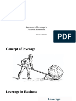 Leverage in Finanial Statements