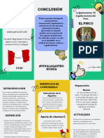 Triptico Informativo Del Pisco