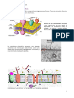 Bio T6