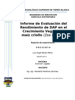 Informe de Evaluación Del Rendimiento de DAP en El Crecimiento Vegetal en Maíz Criollo