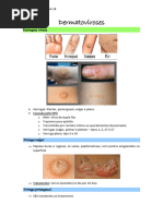 Conferência - Dermatoviroses