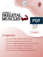 L2 - Skeletal Muscles