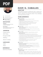 Dave CV