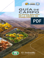 Guía de plantas nativas