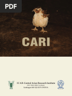 CARI_at_a_glance