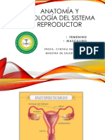 Anatomía y fisiología del sistema reproductor