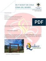 CIRCULAR 2 cazoc