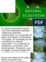 natural_ecosystem