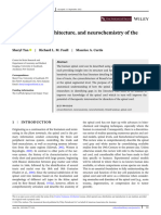 The Anatomical Record - 2022 - Tan - The Tracts Cytoarchitecture and Neurochemistry of the Spinal Cord